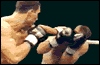  Real Boxing 3D    Nokia N80