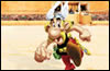 Asterix:    