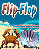 Flip-Flop