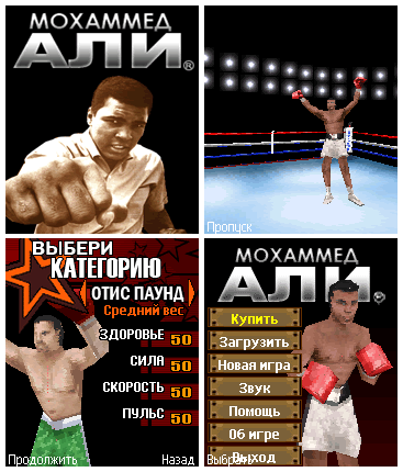 Ali Boxing 3D