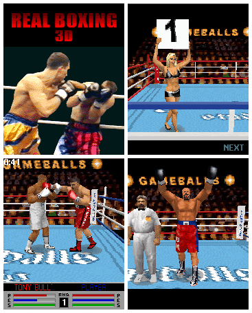 Real_Boxing_3D